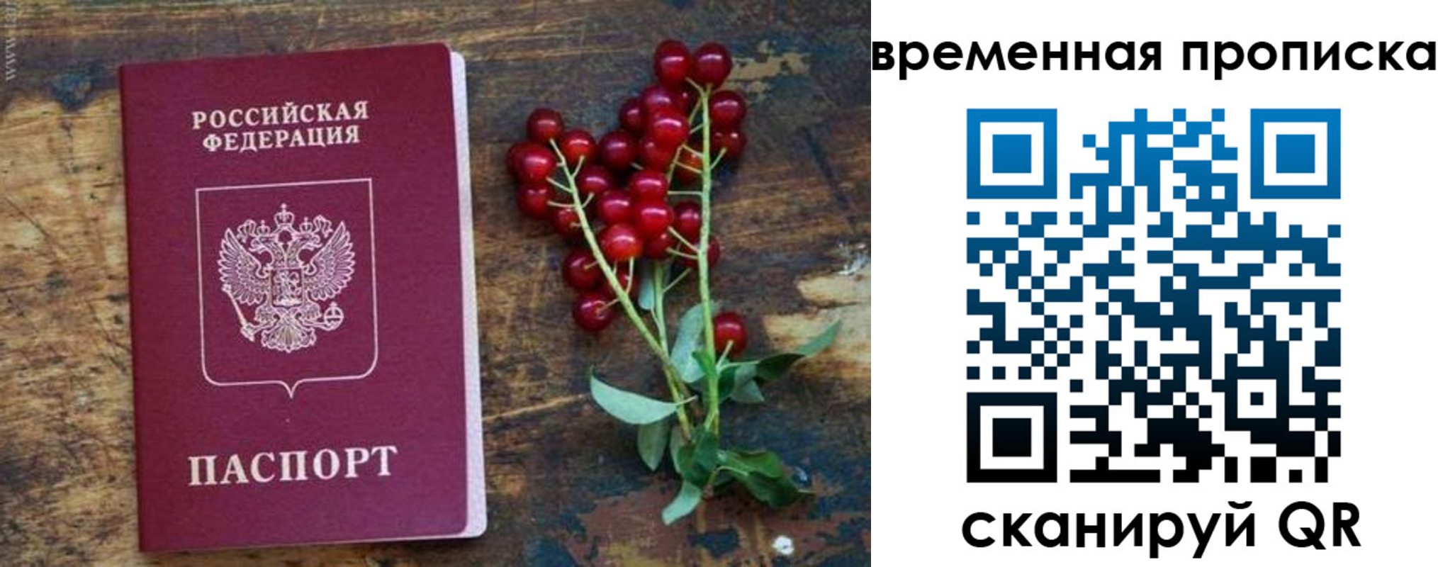 временная регистрация гарантия в Гае